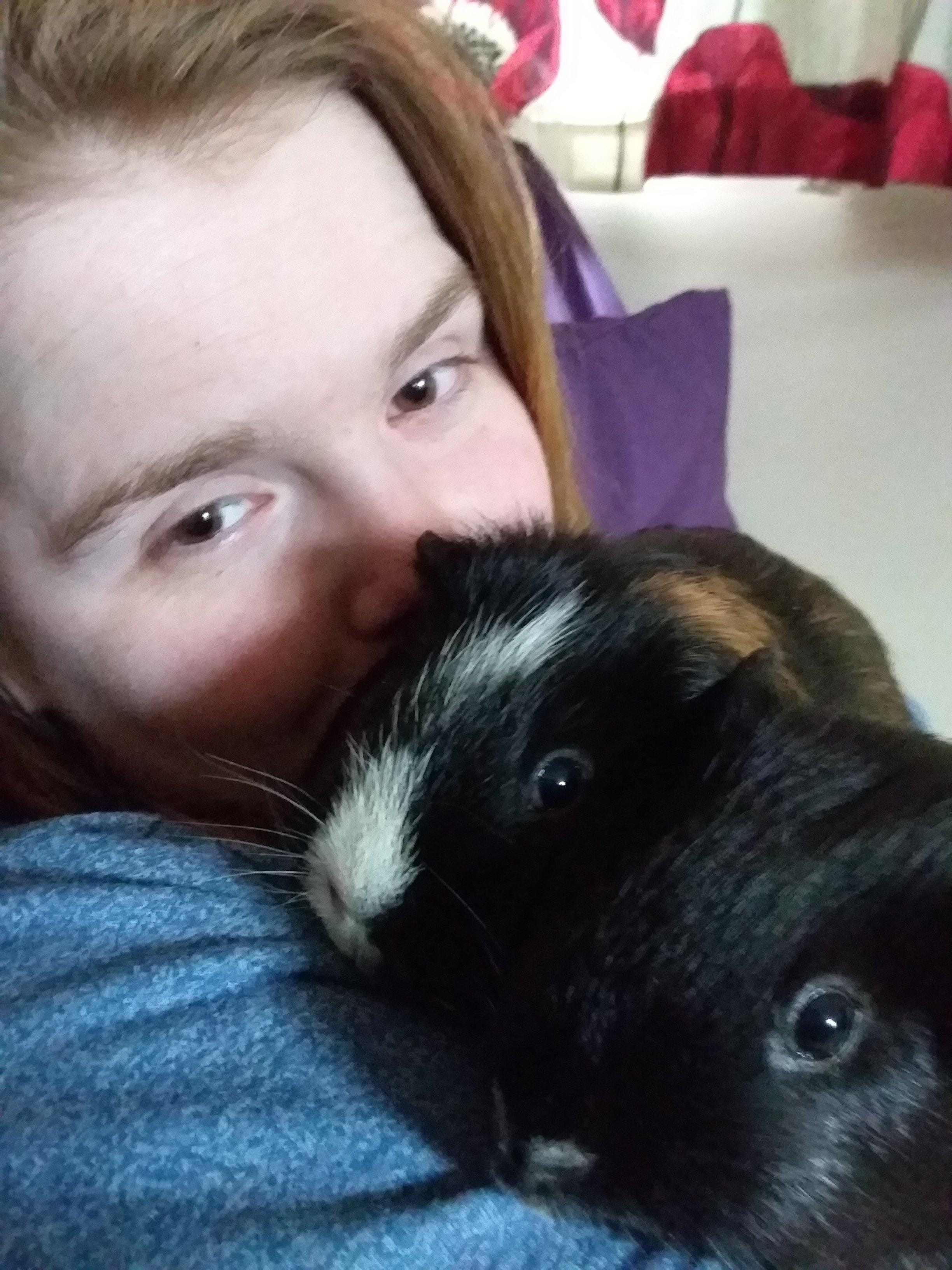 Ami is in bed, with Loki and Thor cuddled up on her