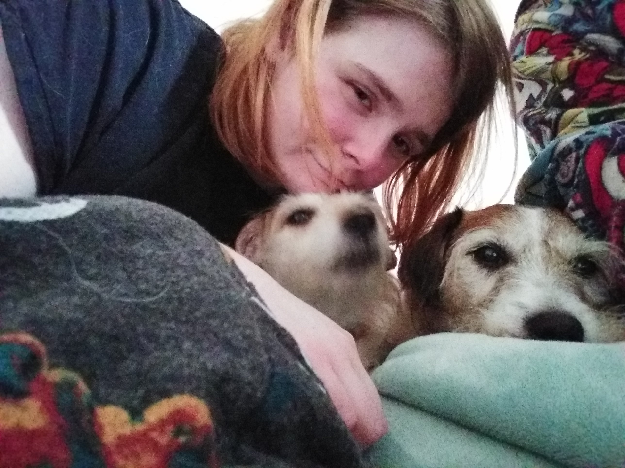 Ami has taken a selfie with Molly and Max, on her bed.