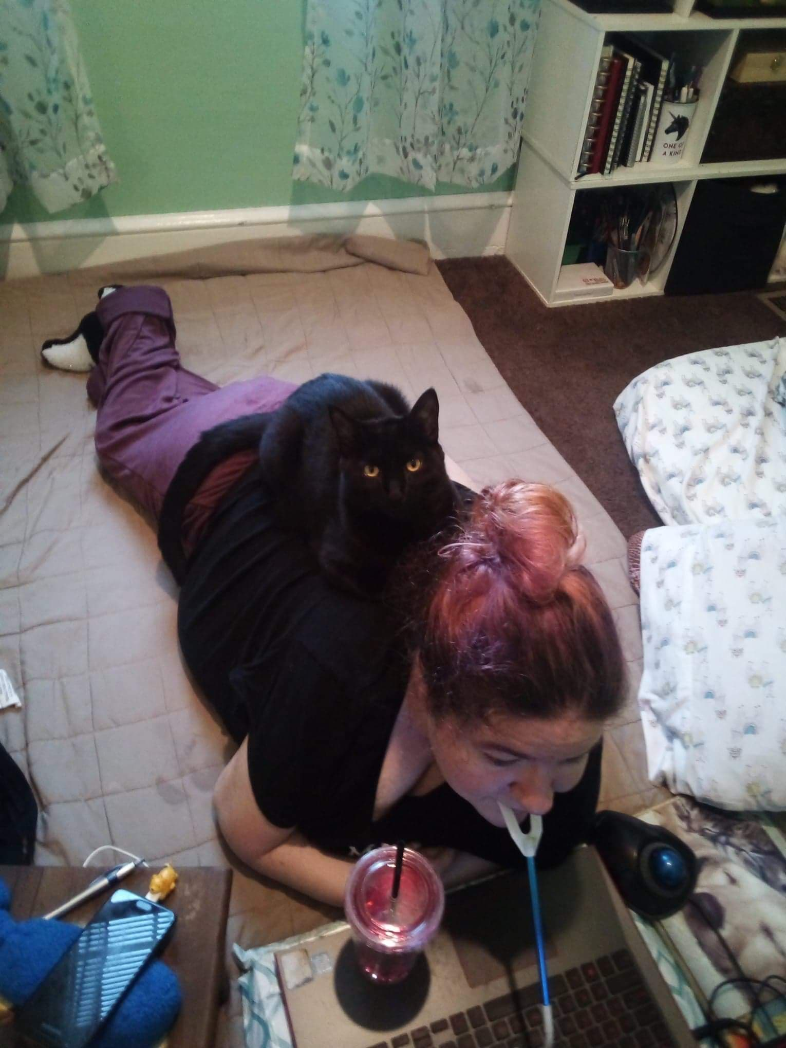 Nikole is laying on the floor, with her black cat sitting comfortable on Nikole's back. She is holding a drink and using her mouth stick to type on her laptop.