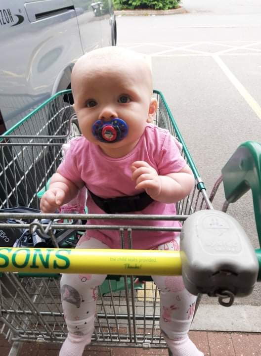 Daisy in big trolley