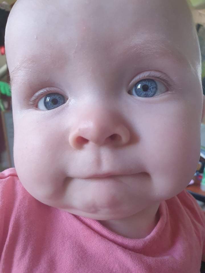 Daisy looking at the camera